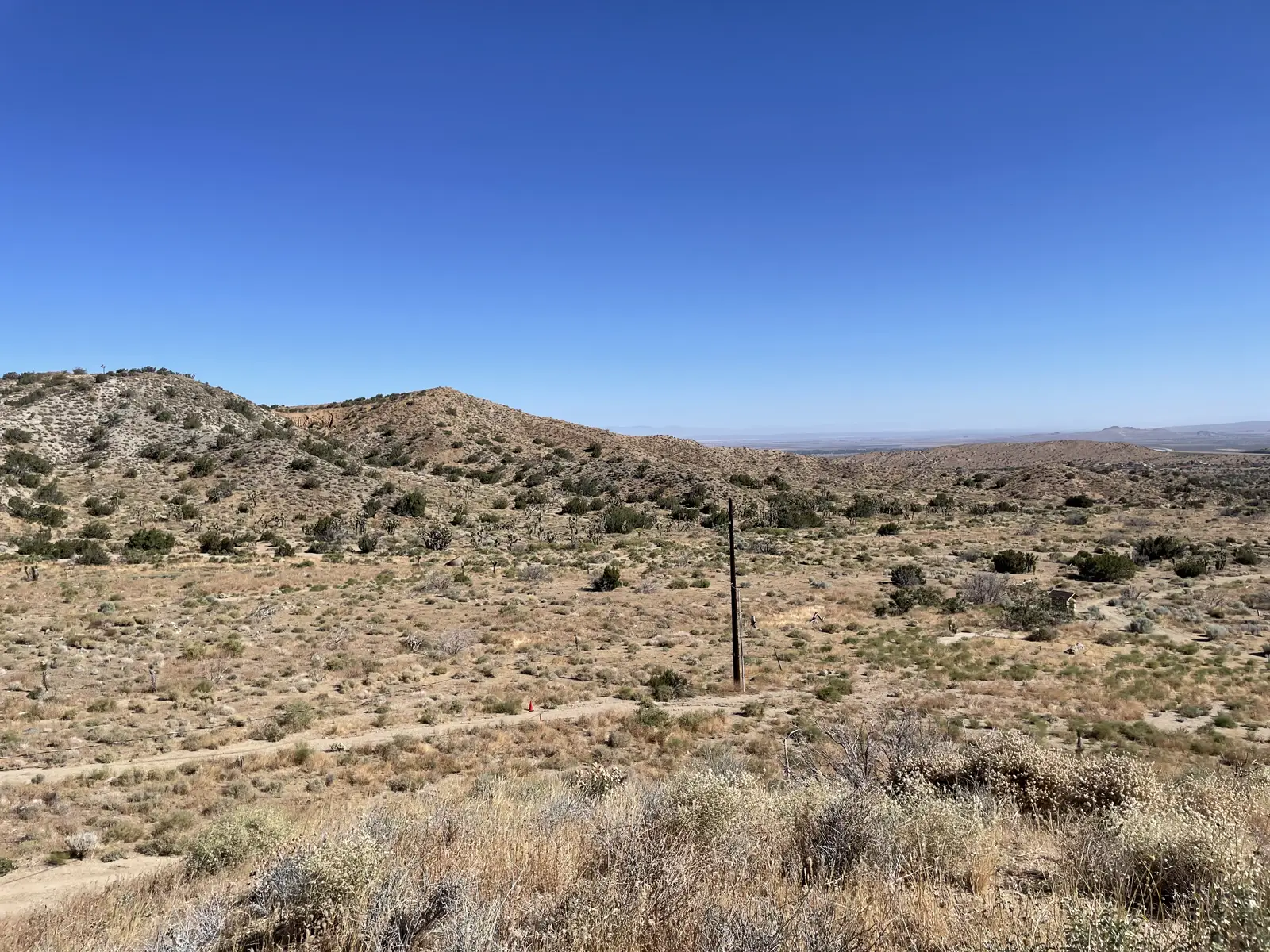 Panoramic view of the surrounding desert hills and Joshua trees